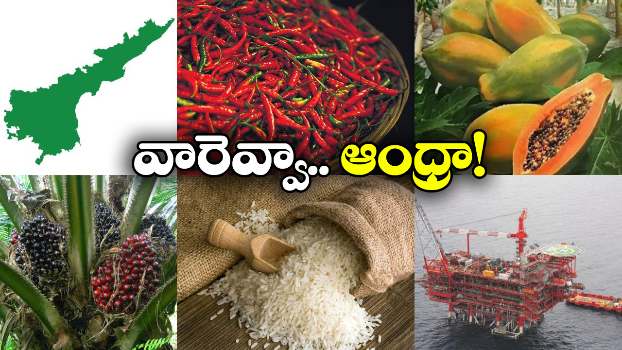 Facts about AP: ఇండియాకు ఏపీ ఇన్ని అందిస్తోందా? మీరు అస్సలు ఊహించి ఉండరు!
