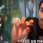 Shah Rukh Khan : ఫుడ్ కాదది పాయిజన్… యూట్యూబర్ – షారూఖ్ పాష్ రెస్టారెంట్ మధ్య వివాదం