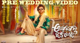 Naveen Polishetty : నా స్థాయిని మించి మిమ్మల్ని ఎంటర్టైన్మెంట్ చేస్తా, రాజు గాడి పెళ్లి బానే ప్లాన్ చేసినట్టు ఉన్నారు