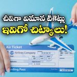 Cheap Flight Tickets: తక్కువ ధరలో ఫ్లైట్ టికెట్స్ కావాలా? సింఫుల్ గా ఈ ట్రిక్స్ యూజ్ చేయండి!