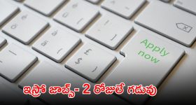 CSIR-NGRI: ఇంటర్ పాసైతే చాలు.. మన హైదరాబాద్‌లో ప్రభుత్వ ఉద్యోగం.. జీతమైతే నెలకు రూ. రూ.38,483
