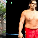 Khali: ఏంట్రా ఖలీకి ఏమైంది… ఇలా చెట్లు నరుకుతున్నాడు!