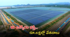 NTPC-NGEL: డిగ్రీ ఉన్న వారికి గోల్డెన్ ఛాన్స్.. ఈ జాబ్ వస్తే లక్షల్లో జీతం.. వెంటనే దరఖాస్తు చేసుకోండి..