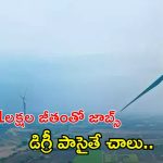 NTPC Recruitment: రూ.11 లక్షల జీతంతో ఎన్టీపీలో ఉద్యోగాలు.. డిగ్రీ పాసైతే చాలు భయ్యా.. మరి ఇంకెందుకు ఆలస్యం