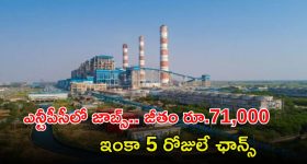 NTPC Recruitment: ఎన్టీపీసీలో ఎగ్జిక్యూటివ్ ఉద్యోగాలు.. జీతం అక్షరాల రూ.71,000, దరఖాస్తుకు 5 రోజులే ఛాన్స్..