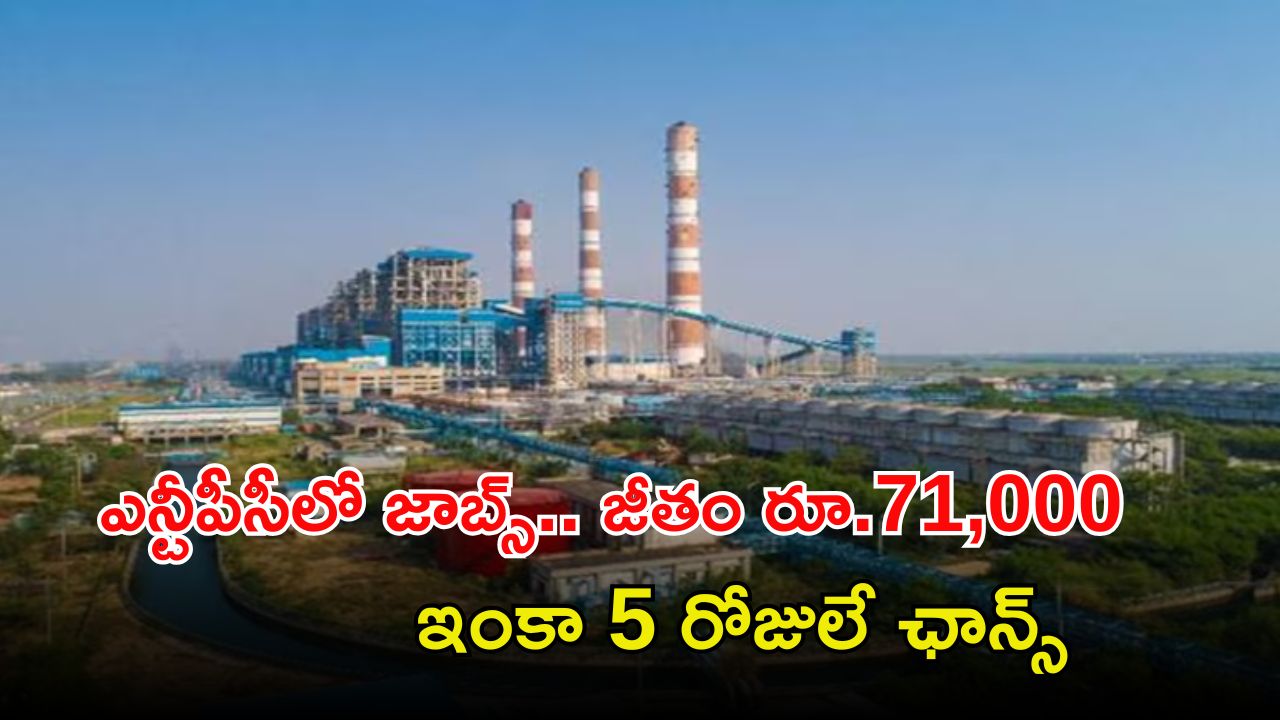 NTPC Recruitment: ఎన్టీపీసీలో ఎగ్జిక్యూటివ్ ఉద్యోగాలు.. జీతం అక్షరాల రూ.71,000, దరఖాస్తుకు 5 రోజులే ఛాన్స్..