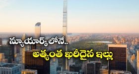 White Hair: ఇలా చేస్తే.. జన్మలో తెల్ల జుట్టు రాదు !