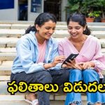 SBI PO Prelims: ఎస్బీఐ పీవో ప్రిలిమ్స్ ఫలితాలు వచ్చేశాయ్.. ఈ లింక్ ద్వారా నేరుగా ఫలితాలు
