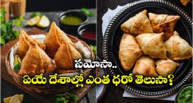 Soamosa Prices Worldwide: ఇండియాలో సమోసా ధర రూ.20.. అమెరికాలో ఎంతో తెలిస్తే షాకవ్వాల్సిందే!