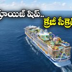 Cruise Ship Secrets: క్రూయిజ్ షిప్ అనుకున్న టైమ్ కి బయల్దేరకపోతే ఫైన్ వేస్తారా? ఆశ్చర్యంగా ఉందే!