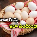 Fresh Eggs Test: గుడ్డు మంచిదా, పాడైందా తెలుసుకోవాలంటే.. సింపుల్ గా ఇలా చెయ్యండి!