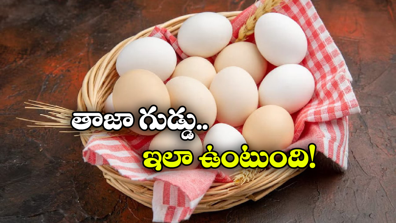 Fresh Eggs Test: గుడ్డు మంచిదా, పాడైందా తెలుసుకోవాలంటే.. సింపుల్ గా ఇలా చెయ్యండి!