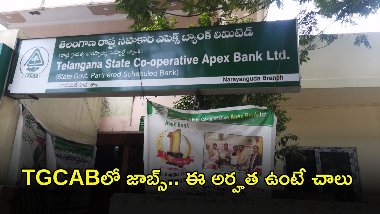 TGCAB: తెలంగాణ టీజీసీఏబీ‌లో పోస్టులు.. ఈ అర్హత ఉంటే చాలు.. ఈ జాబ్ వస్తే నెలకు రూ.97,620