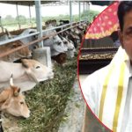 TTD Chairman: ఇకపై భూమనకు చుక్కలు చూపిస్తాం.. టీటీడీ ఛైర్మన్ ఆగ్రహం