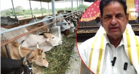 Summer Vacation: ట్రిప్ ప్లాన్ చేస్తున్నారా..? సమ్మర్‌లో కూల్ కూల్‌గా ఉండే ఈ ప్లేసెస్‌లో ఎంజాయ్ చేయండి