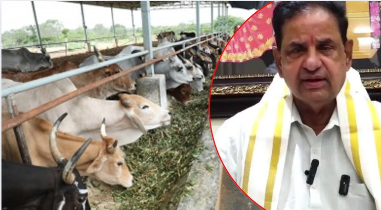 TTD Chairman: ఇకపై భూమనకు చుక్కలు చూపిస్తాం.. టీటీడీ ఛైర్మన్ ఆగ్రహం