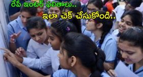 Telangana Inter Results: తెలంగాణ ఇంటర్ ఫలితాలు.. ఇలా ఈజీగా చెక్ చేసుకోండి..