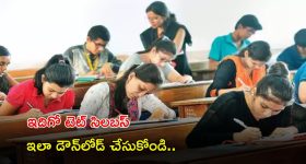 TET Exam Syllabus: టెట్ ఎగ్జామ్ సిలబస్ విడుదల.. ఇలా సింపుల్‌గా డౌన్ లోడ్ చేసుకోండి..