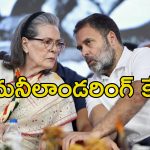 National Herald Rahul Gandhi Sonia: రాహుల్, సోనియా గాంధీలపై ఈడీ చార్జిషీట్.. ఇది బీజేపీ కుట్రేనా?