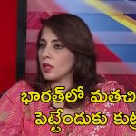 Babri Masjid Pakistan MP: బాబ్రీ మసీదు మళ్లీ నిర్మిస్తాం.. యుద్ధ వాతావరణంలో పాక్ ఎంపీ రెచ్చగొట్టే వ్యాఖ్యలు