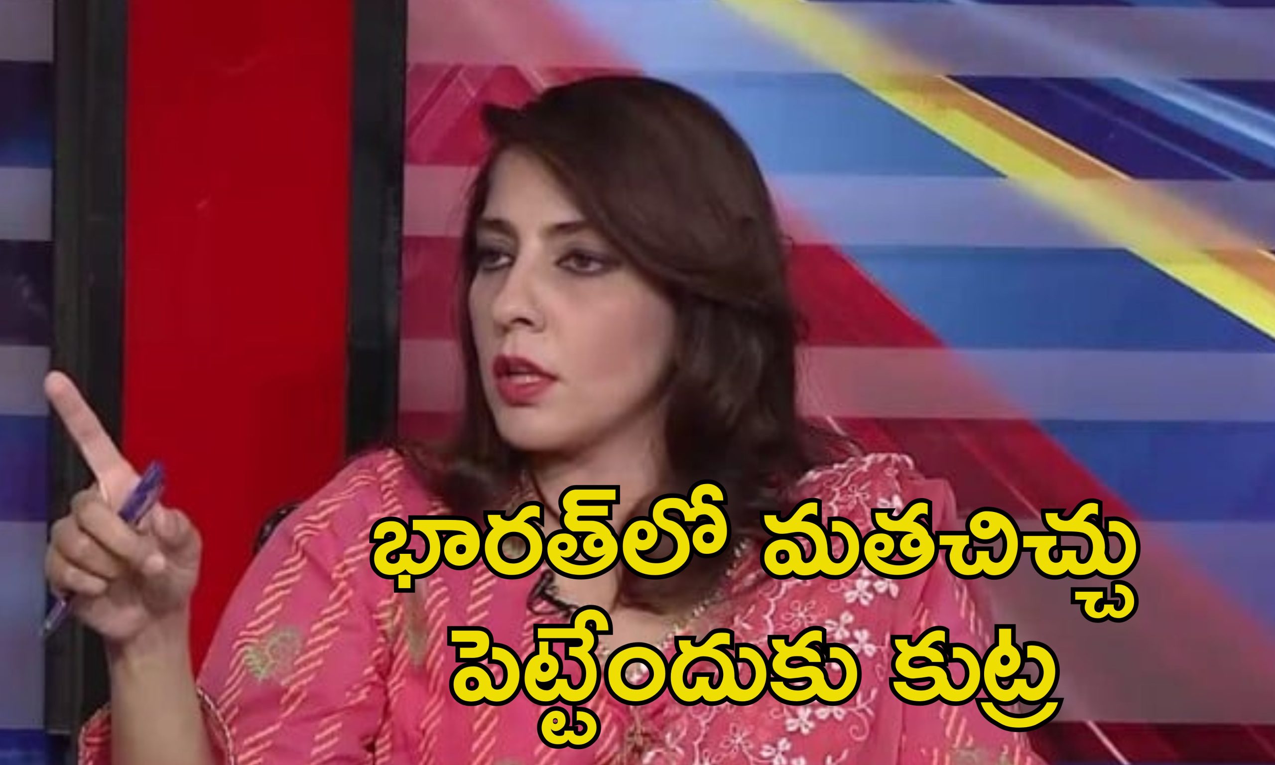Babri Masjid Pakistan MP: బాబ్రీ మసీదు మళ్లీ నిర్మిస్తాం.. యుద్ధ వాతావరణంలో పాక్ ఎంపీ రెచ్చగొట్టే వ్యాఖ్యలు