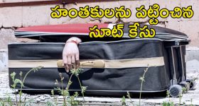 Wife Affair With Nephew: పొలంలో సూట్ కేసు.. అందులో శవం.. భర్త మేనల్లుడిని ప్రేమించిన యువతి..