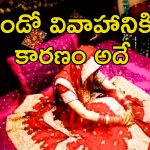 Wife Second Marriage: రోడ్డు ప్రమాదంలో గాయపడిన యువకుడు.. రెండో వివాహం చేసుకున్న భార్య