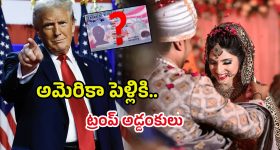 OTT Movie : సైకోలకు చిక్కే ఒంటరి అమ్మాయి... రాత్రంతా నరకం ... అదిరిపోయే ట్విస్ట్ లతో హోరెత్తించే సస్పెన్స్ థ్రిల్లర్