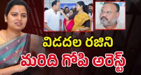Vidadala Rajini: మాజీ మంత్రి రజినీకి ఝలక్.. మరిది గోపీ అరెస్ట్‌