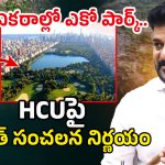 Kancha Gachibowli Land: సర్కార్ మాస్టర్ ప్లాన్.. ఆ 400 ఎకరాలతో కలిపి.. 2000 ఎకరాల్లో ఎకో పార్క్..