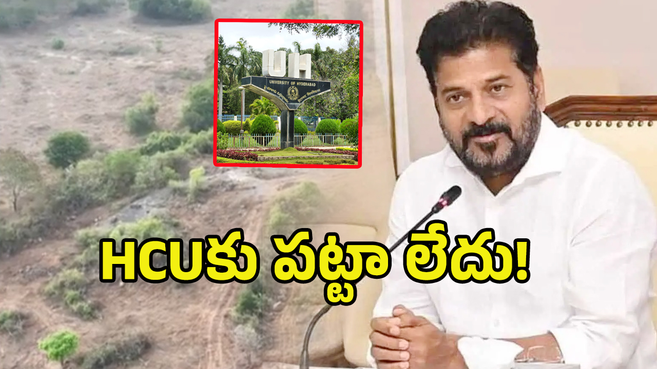 Hcu Land Issue: ఆ భూములు సర్కార్‌వే.. కంచ గచ్చిబౌలి భూములపై.. రెవెన్యూ అధికారుల క్లారిటీ
