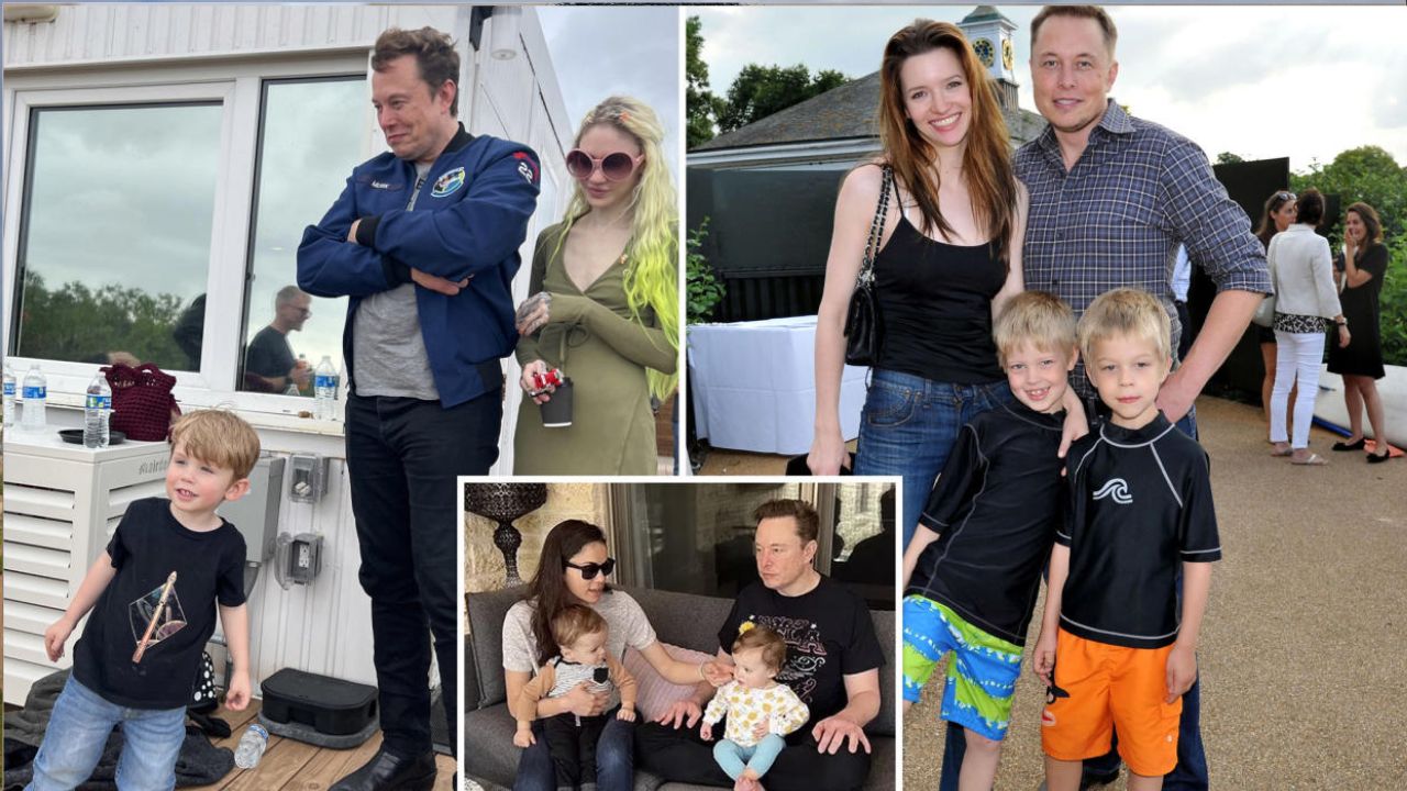Elon Musk : ఇప్పటికే 14 మంది.. ప్రపంచమంతా మస్క్ పిల్లలు? జపాన్‌ యువతికి స్పెర్మ్..