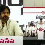 Pawan Kalyan : మంచితనం ఎక్కువైపోయింది.. వాళ్లను పాకిస్తాన్ పంపేద్దాం..