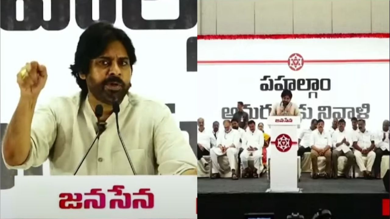 Pawan Kalyan : మంచితనం ఎక్కువైపోయింది.. వాళ్లను పాకిస్తాన్ పంపేద్దాం..