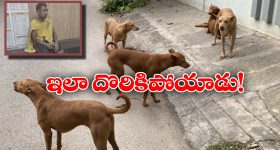 Sreeleela: మరోసారి మడతపెట్టేసింది.. శ్రీలీల వీటికే సెట్ అవుతుందా?