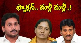 Mad Square : బావ మరిది కోసం ఎన్టీఆర్... అదే ఫ్లోను కంటిన్యూ చేస్తున్న నాగ వంశీ