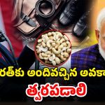 India Exports: ట్రంప్ సుంకాల బాదుడుతో భారత్‌కు బంపర్ ఆఫర్.. ఎలాగంటే