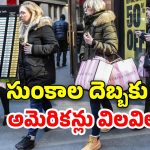 US Citizens Shopping Rush: అమెరికాలో షాపింగ్‌ కోసం బారులు తీరిన జనం.. మరి కొన్ని రోజుల్లో ధరలు పైపైకి