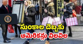 US Citizens Shopping Rush: అమెరికాలో షాపింగ్‌ కోసం బారులు తీరిన జనం.. మరి కొన్ని రోజుల్లో ధరలు పైపైకి