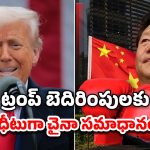Trump Tariff China: ట్రంప్‌ సలహాదారుడు ఓ మూర్ఖుడు.. చైనాపై 104 శాతం సుంకాలు విధించిన అమెరికా