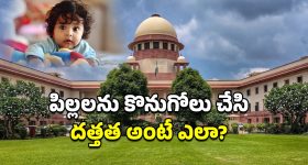 CM Chandrababu House: అమరావతిలో చంద్రబాబు కొత్త ఇల్లు, ఈ ప్రత్యేకతలు తెలిస్తే ఔరా అంటారు