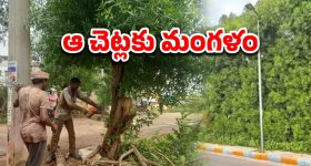 Rohit Sharma - MS Dhoni: ధోని, రోహిత్ లకు బంపర్ ఆఫర్.. మళ్లీ వాళ్లకే కెప్టెన్సీ!