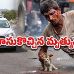 Man Die Kitten Save: రోడ్డు ప్రమాదంలో గాయపడిన మూగజీవి.. కాపాడబోయి యువకుడు మృతి