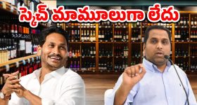Niharika: మెగా వారి ఇంట్లో సెలబ్రిటీలు... నిహారిక గుడ్ న్యూసే కారణమా..?