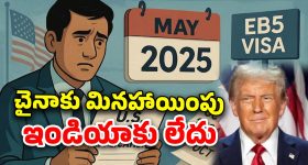 EB-5 Visa Indians: అమెరికాలో భారతీయుల సంఖ్య తగ్గించడమే టార్గెట్.. ఆ వీసాపై ట్రంప్ కీలక నిర్ణయం..
