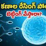 Sperm Racing Event: పురుషుల్లో సంతానలేమి సమస్యలు.. ప్రపంచంలోనే తొలిసారి స్పెర్మ్ రేసింగ్ పోటీలు