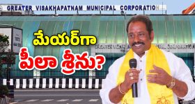Peela Srinivas Rao: నెగ్గిన అవిశ్వాసం.. విశాఖ మేయర్‌గా పీలా శ్రీను..?