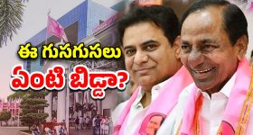 Bitter Gourd: కాకరకాయ తింటే.. ఆశ్చర్యపోయే లాభాలు !