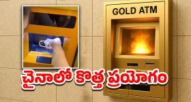 OTT Movie : తొమ్మిదేళ్లకే కాలేజ్ లో ఎంట్రీ... పిల్లాడే అనుకుంటే చిచ్చర పిడుగులా రెచ్చిపోయాడు మావా