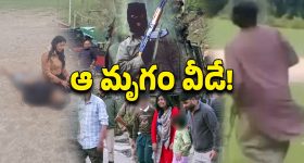 ED Notices: మహేష్ బాబు ,ధోని కి ED నోటీసులు.. అసలు స్కాం ఏంటంటే..